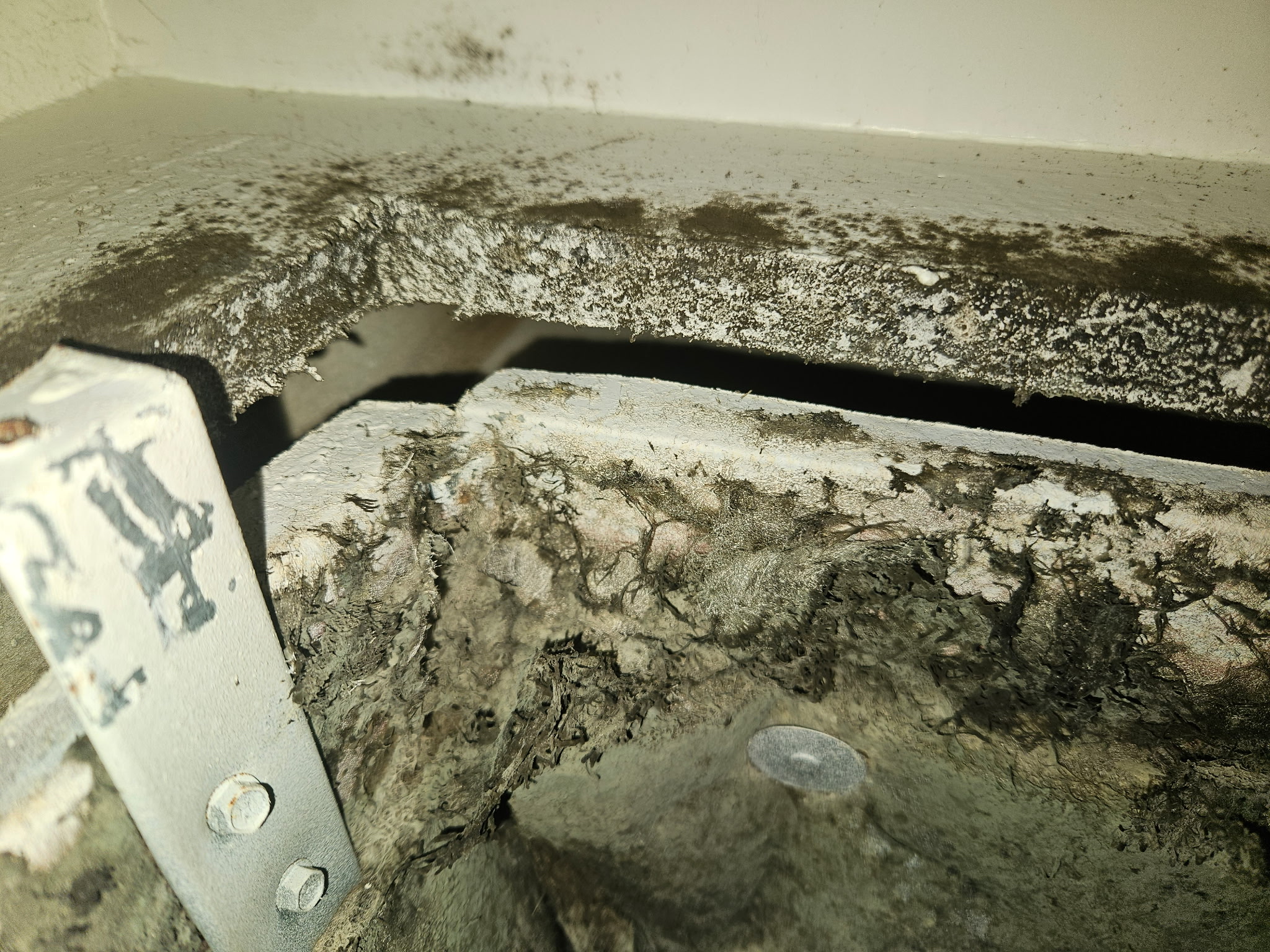 Mold growth inside HVAC ductwork opening causing poor indoor air quality in Memphis Tennessee home