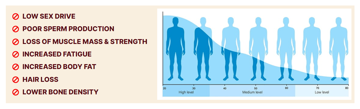 Testosterone Levels