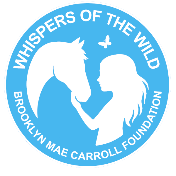 The Brooklyn Mae Carroll Foundation
