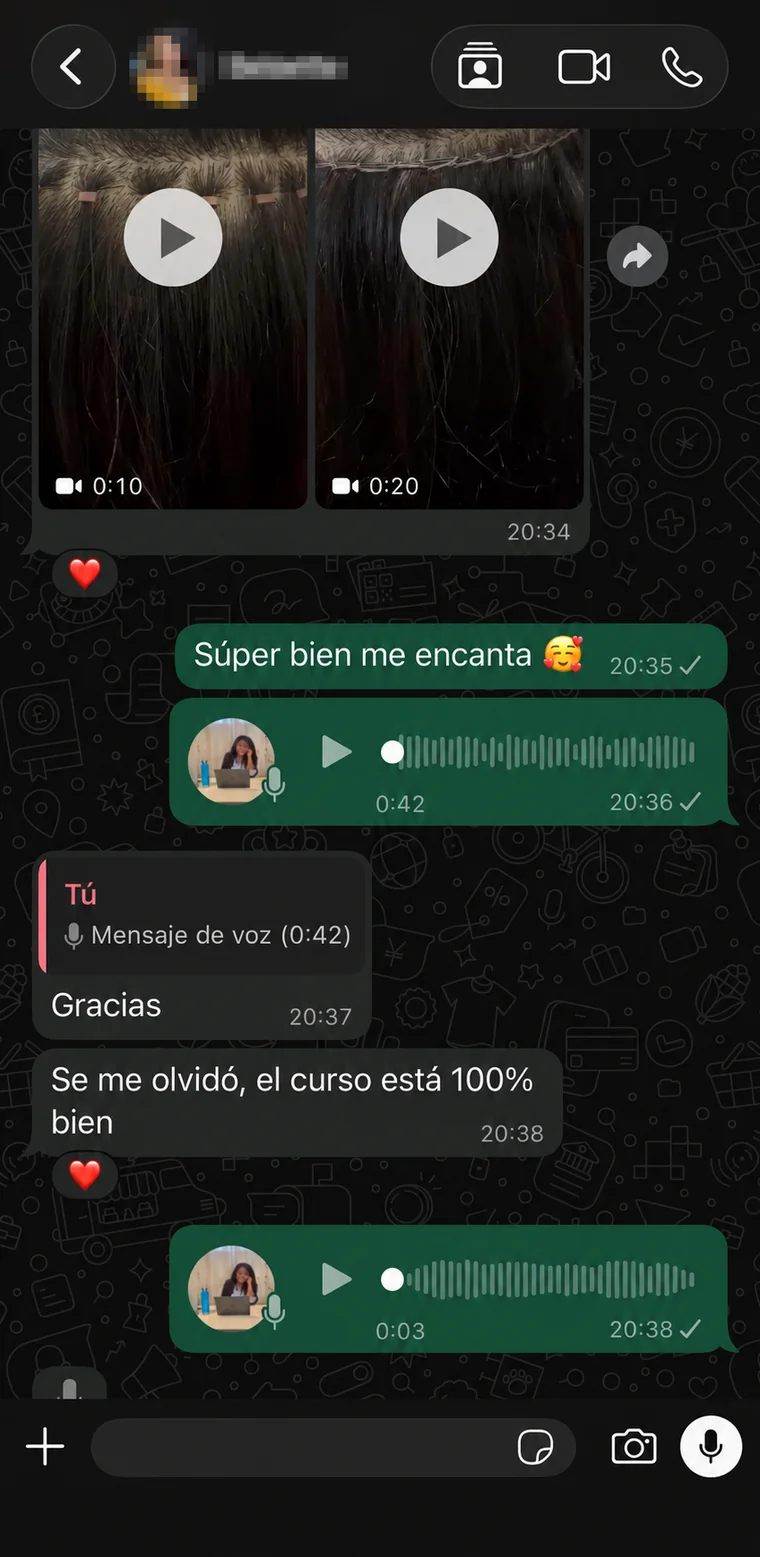 Conversación de soporte por WhatsApp con Rosa