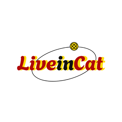 Live in Cat