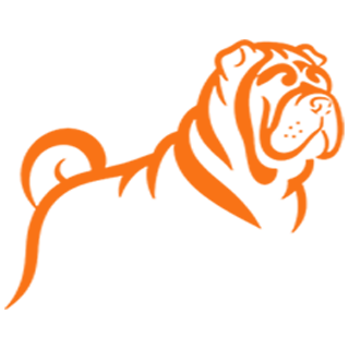 Rennasys logo
