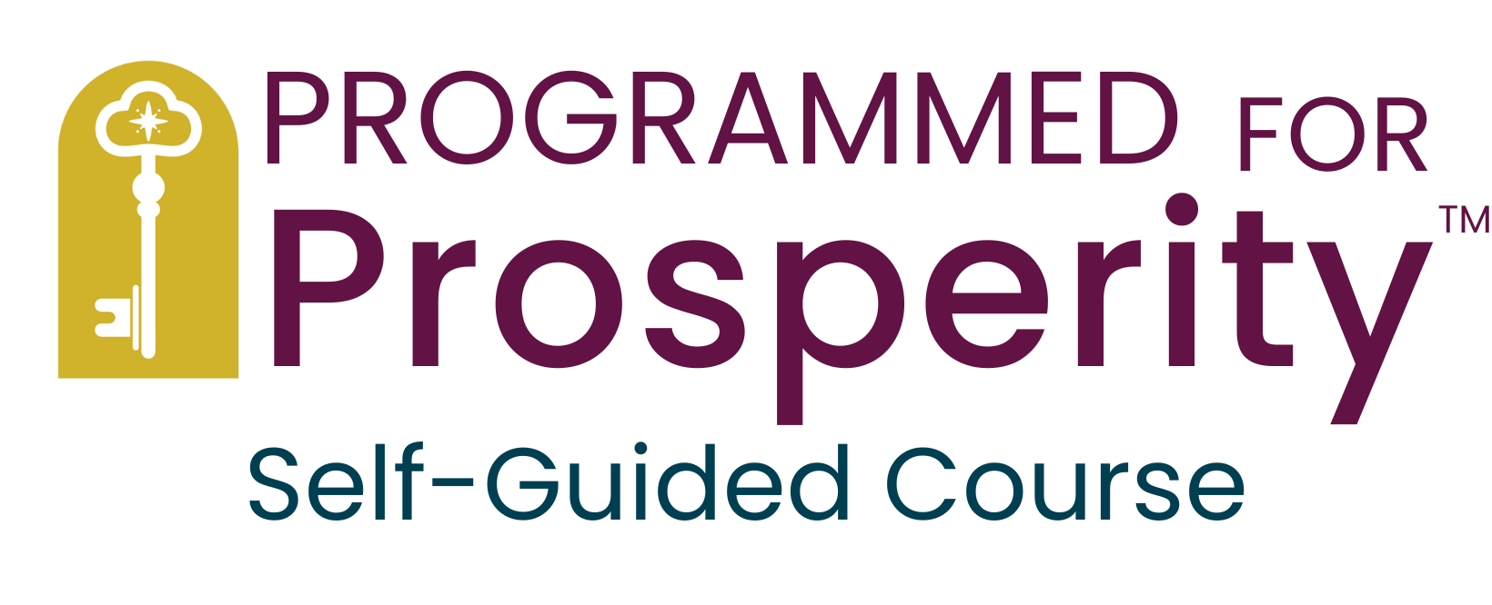 Prosperity Software Get Programmed for Prosperity