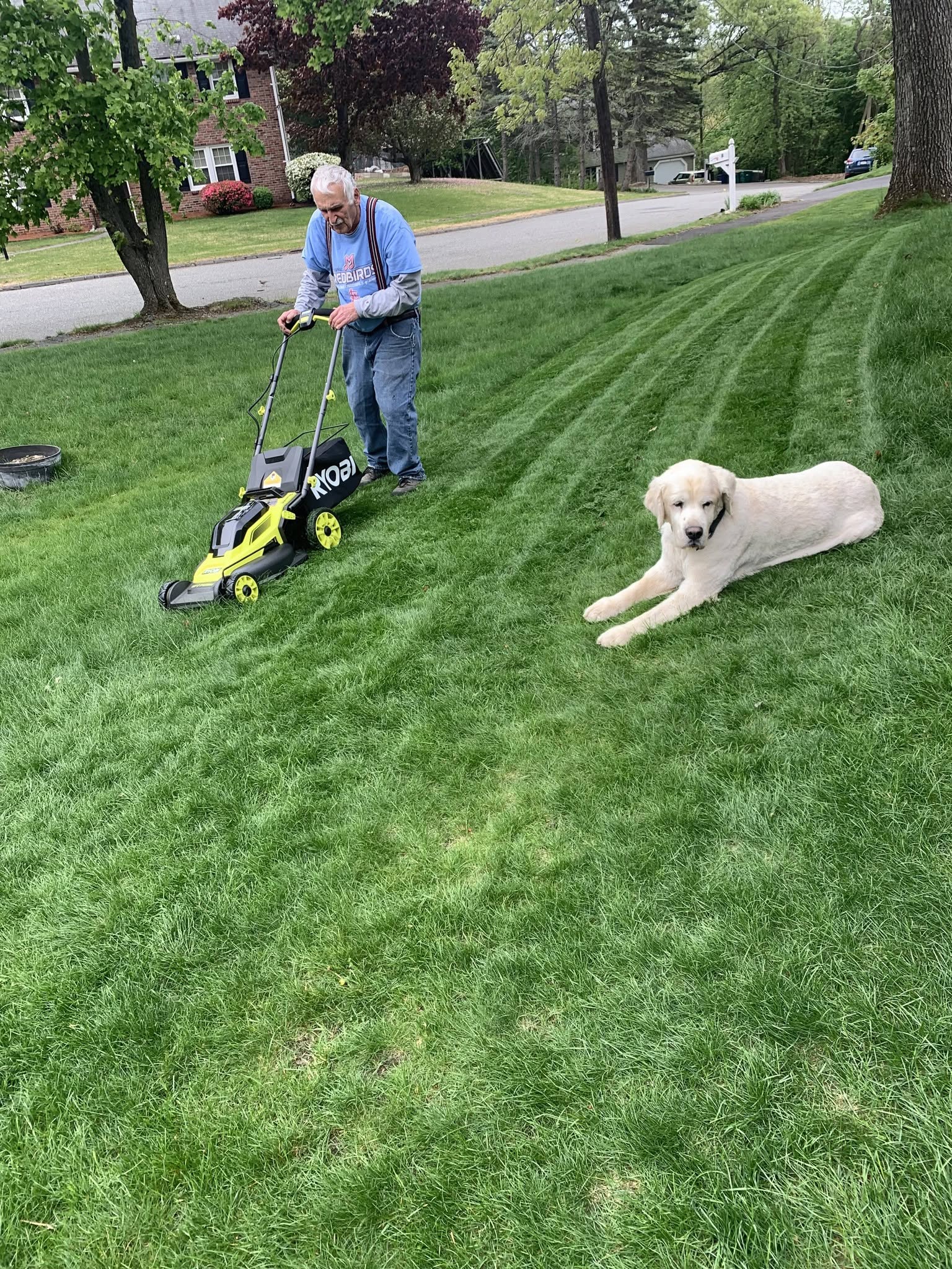 Gary, Geno's dad, mowing the lawn with Frankie