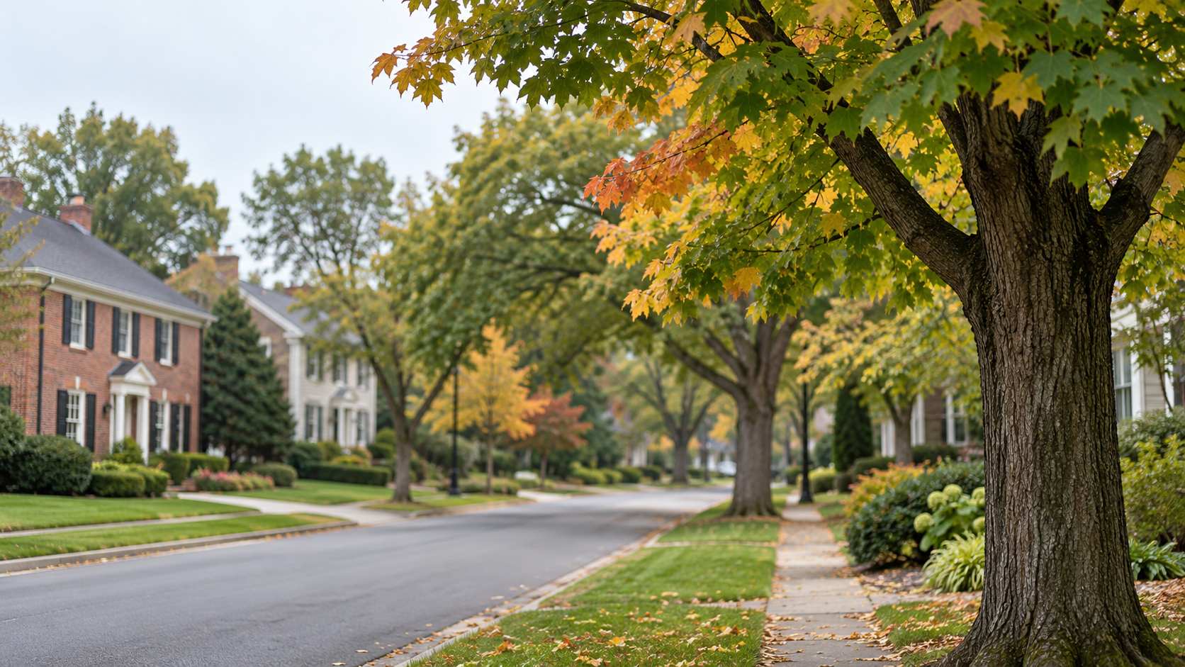 11 Neighborhoods to Know When Buying in Rochester and Rochester Hills