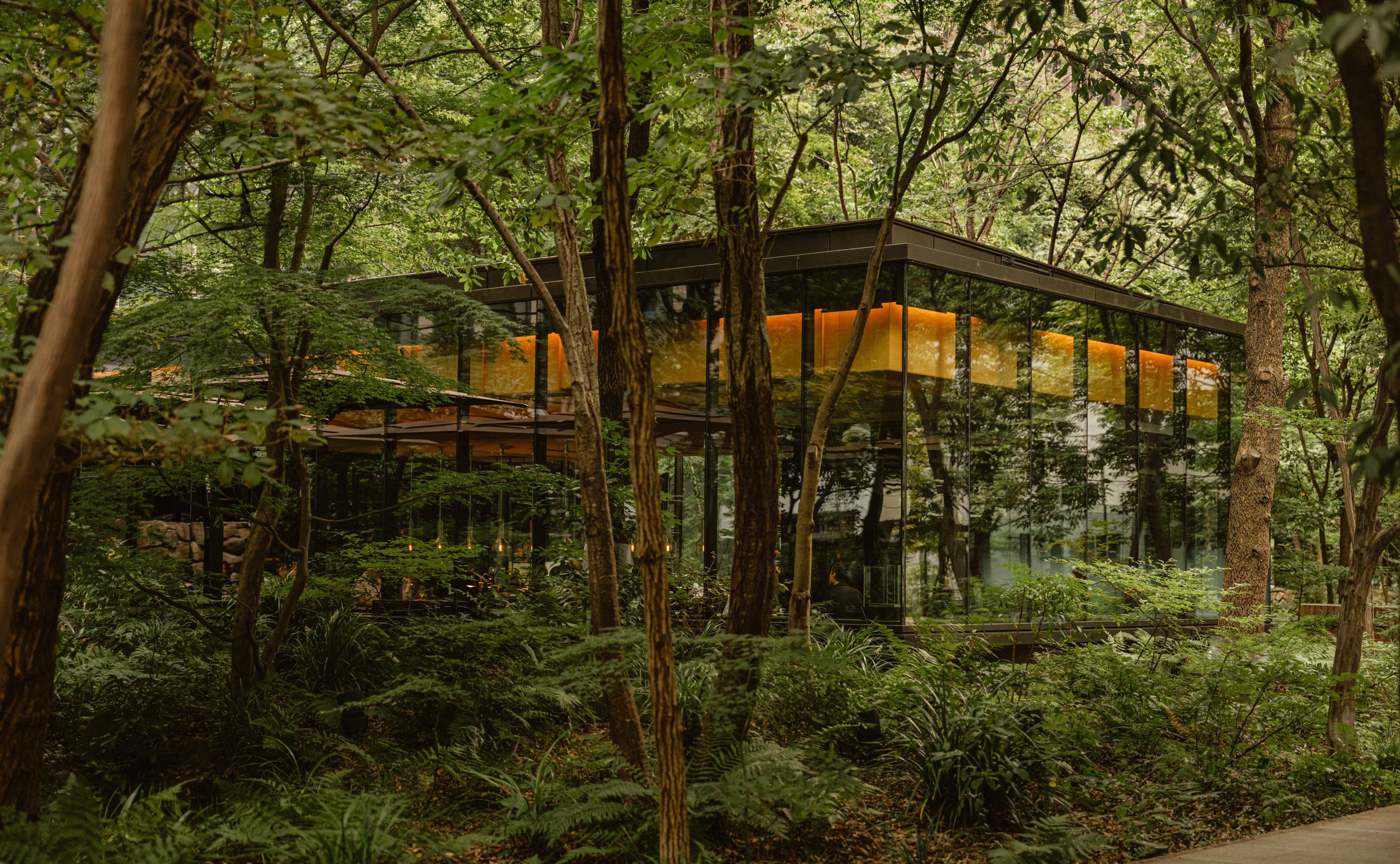 Aman jungle and nature luxury escape