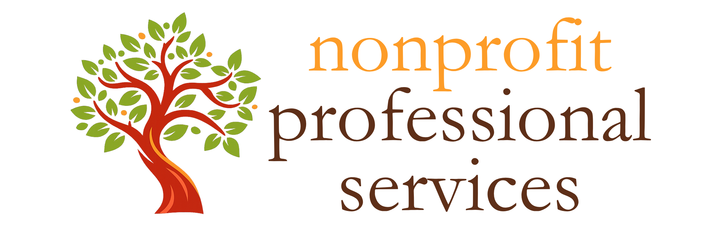 Nonprofit Professional Services