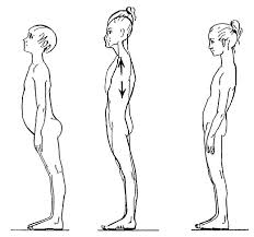 Illustrations de G. DENYS–STRUYF ; Copyright I.C.T.G.D.S.