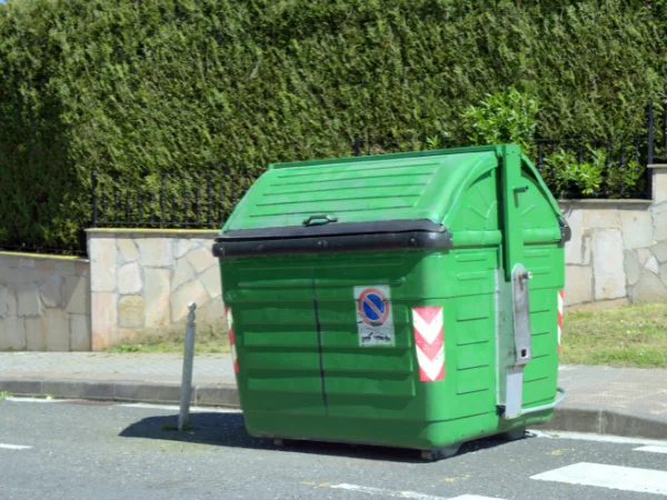 A large green dumpster with no parking sign sits on a street next to a curb and green hedge on a sunny day.