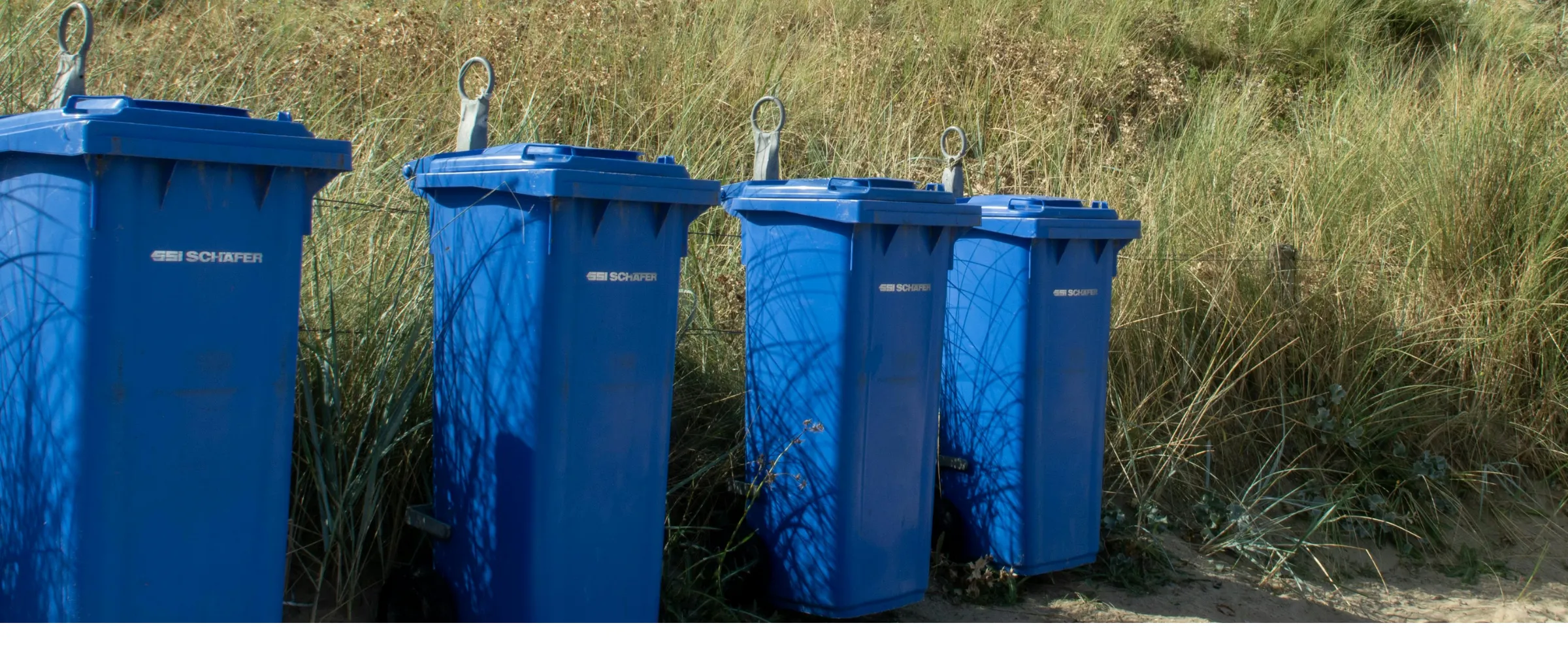 Four blue SSI SCHAEFER garbage bins lined up against a backdrop of tall green and dry dune grass. Four blue SSI SCHAEFER garbage bins lined up against a backdrop of tall green and dry dune grass.