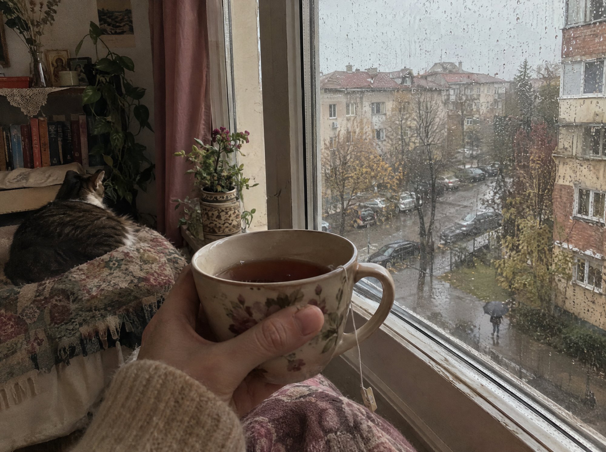 Cană de ceai la o fereastră cu ploaie