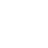 Lotus divider icon