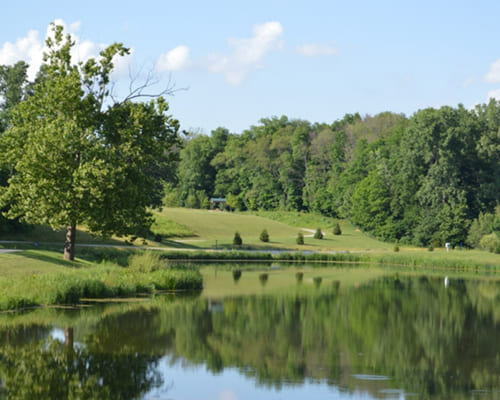 Avon Sewer Replacement/Cleaning
