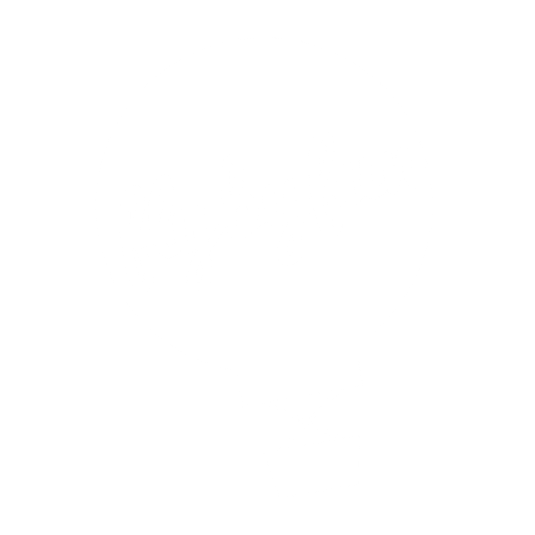 Fly By Fun