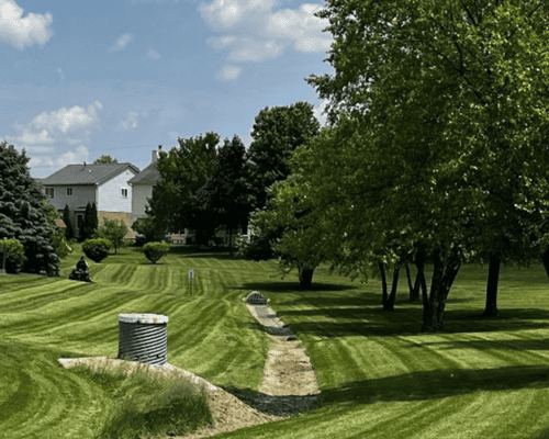 Lawn Care Ypsilanti