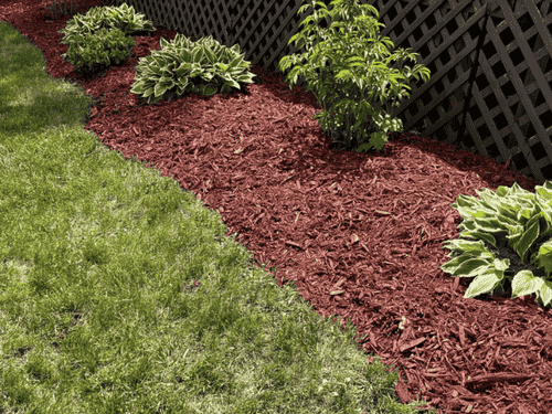 Ann Arbor Mulch Installation