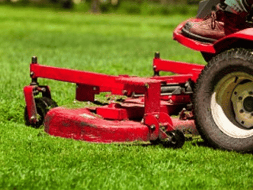 Romulus Snow Management