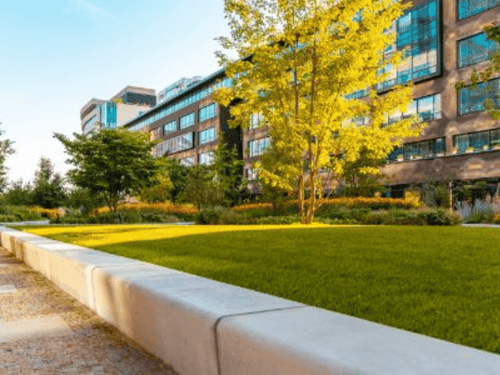 Ann Arbor Commercial Lawn Care