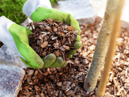 Pittsfield Township Snow Management