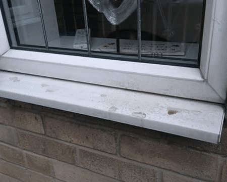 window cleaner leicestershire