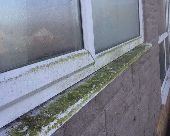 window cleaner leicestershire