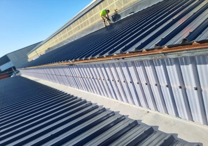 Professional roof inspection identifying leaks and damage on Auckland property