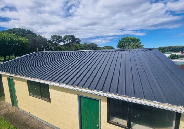 Moss and lichen removal treatment being applied to Auckland roof