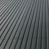 Longrun Iron Roof Repairs Northshore