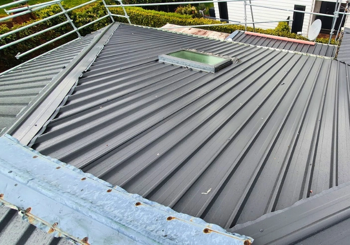Roof leak detection and repair on Northshore, Auckland residential property