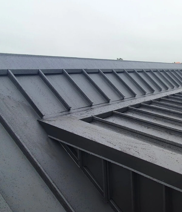 Auckland roof repair and maintenance project
