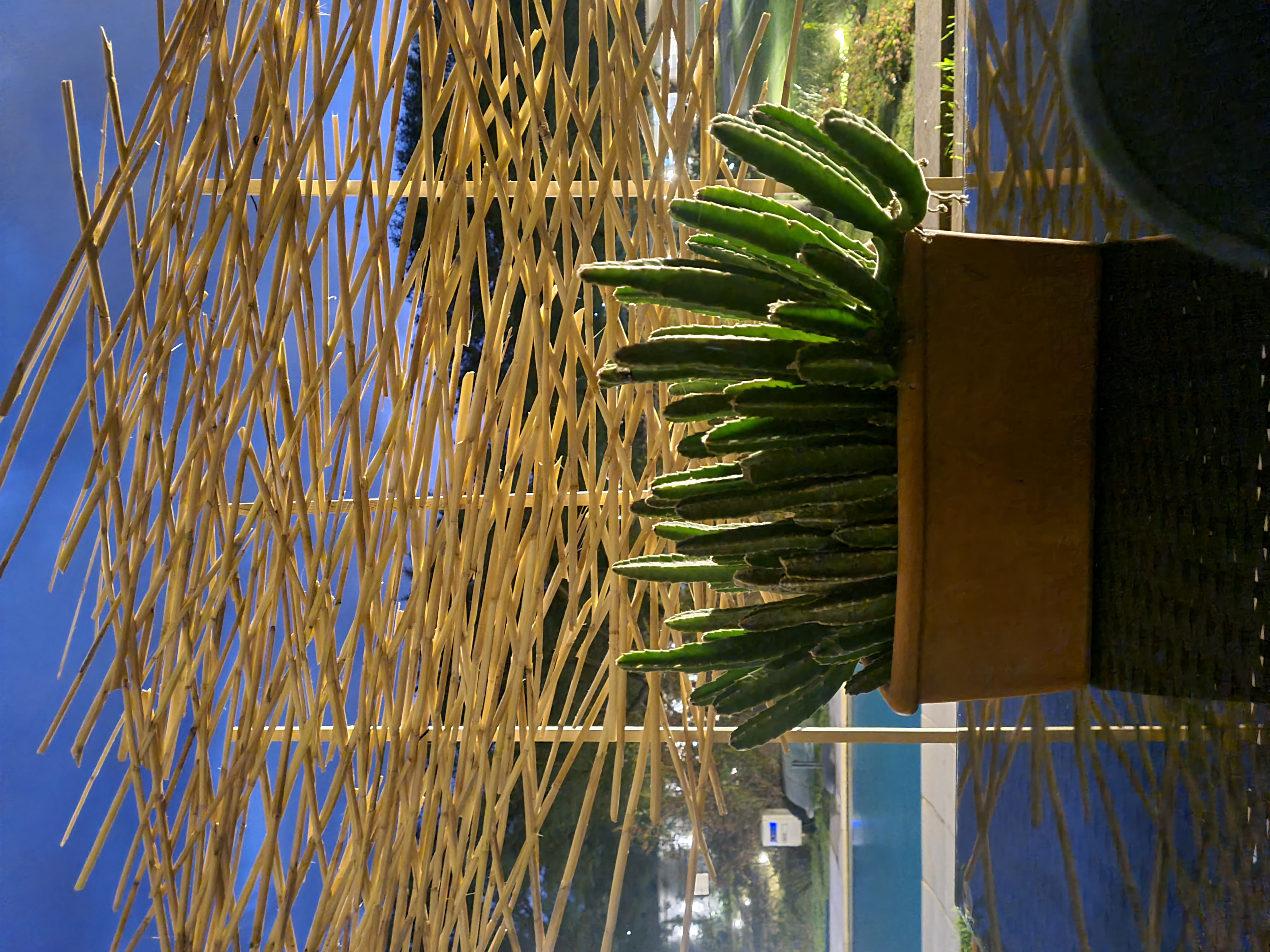 Interiorismo 6