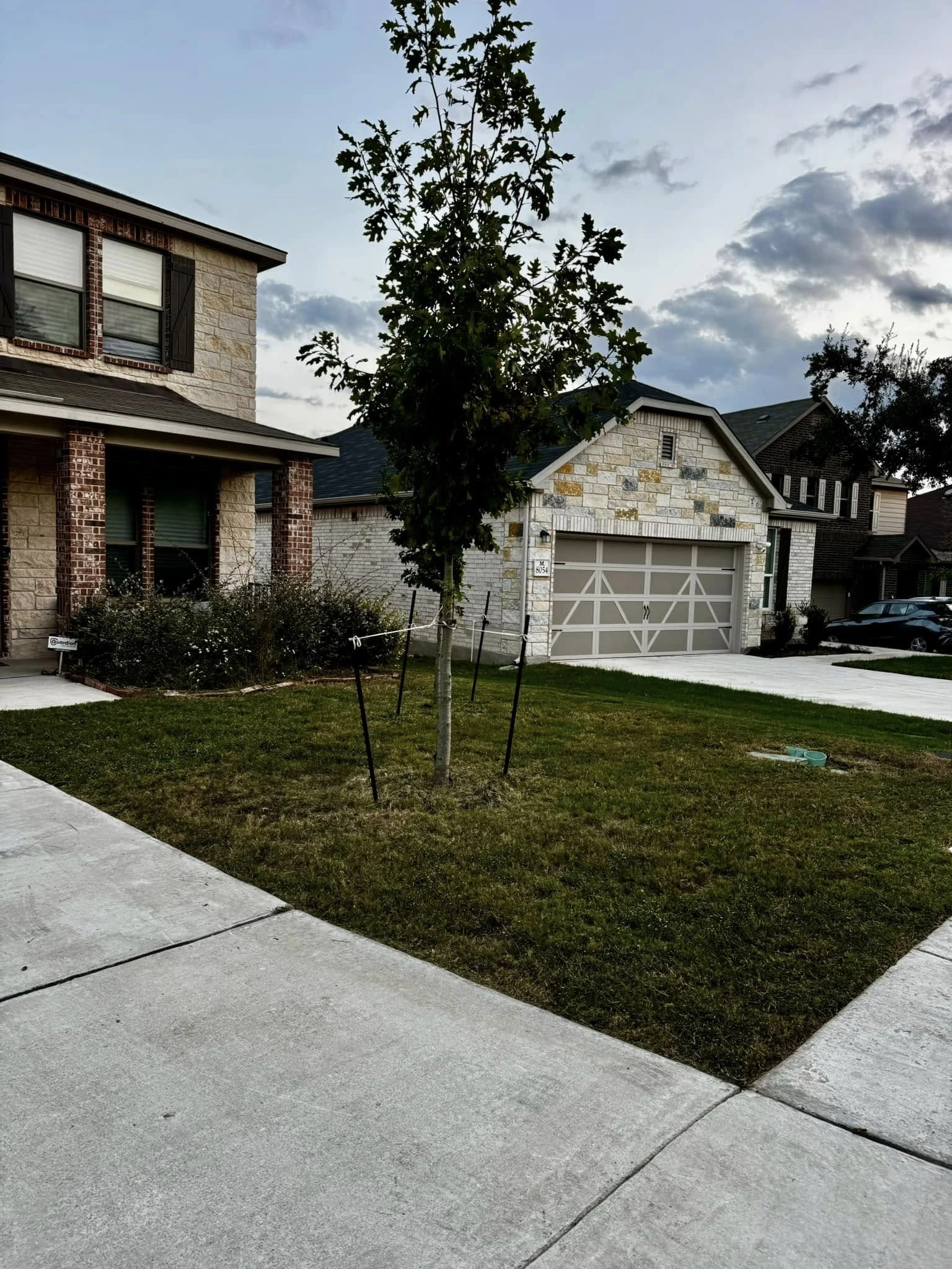 Beautifully manicured lawn in Boerne, TX