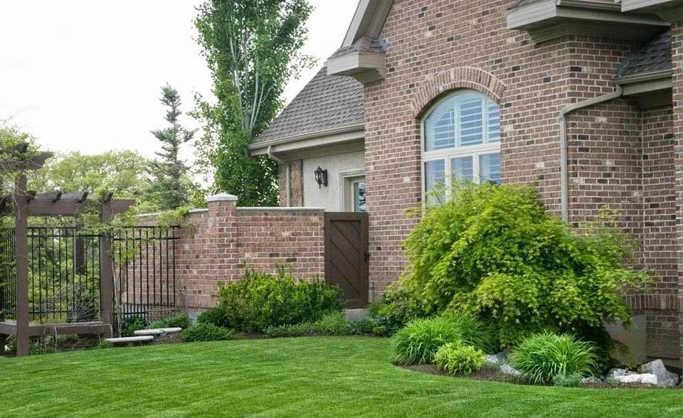 Professional Lawn Care Service