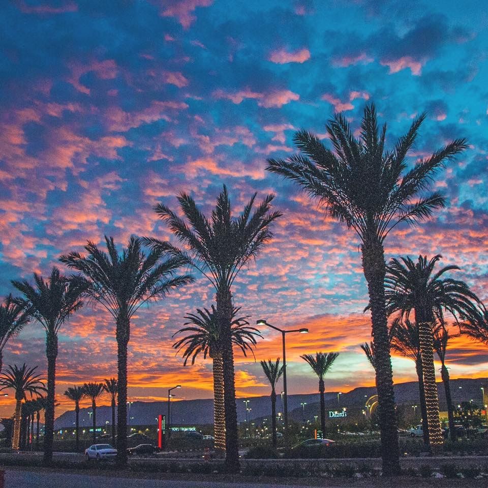 Summerlin palm trees and mountains