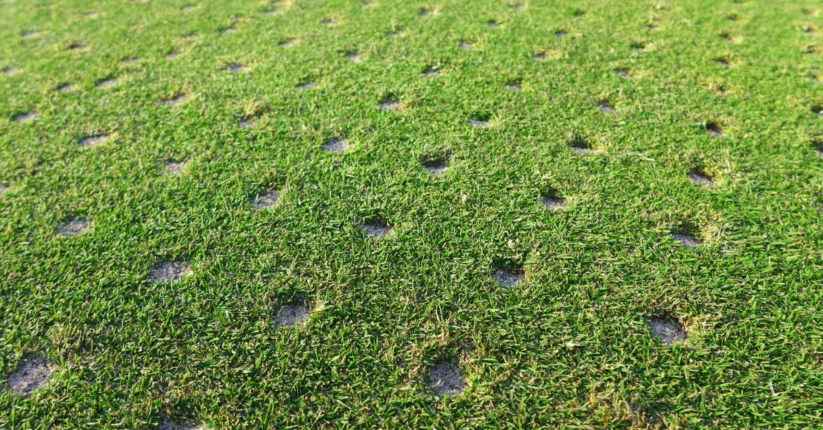 Lawn Aeration Near me Lawn Aeration Near me