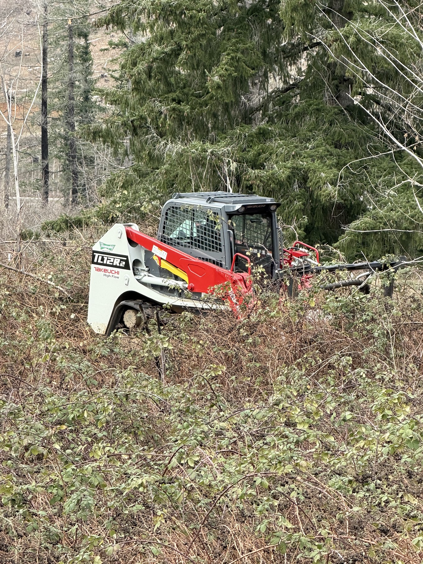 Q&R Takeuchi tracked loader clearing brush Salem OR