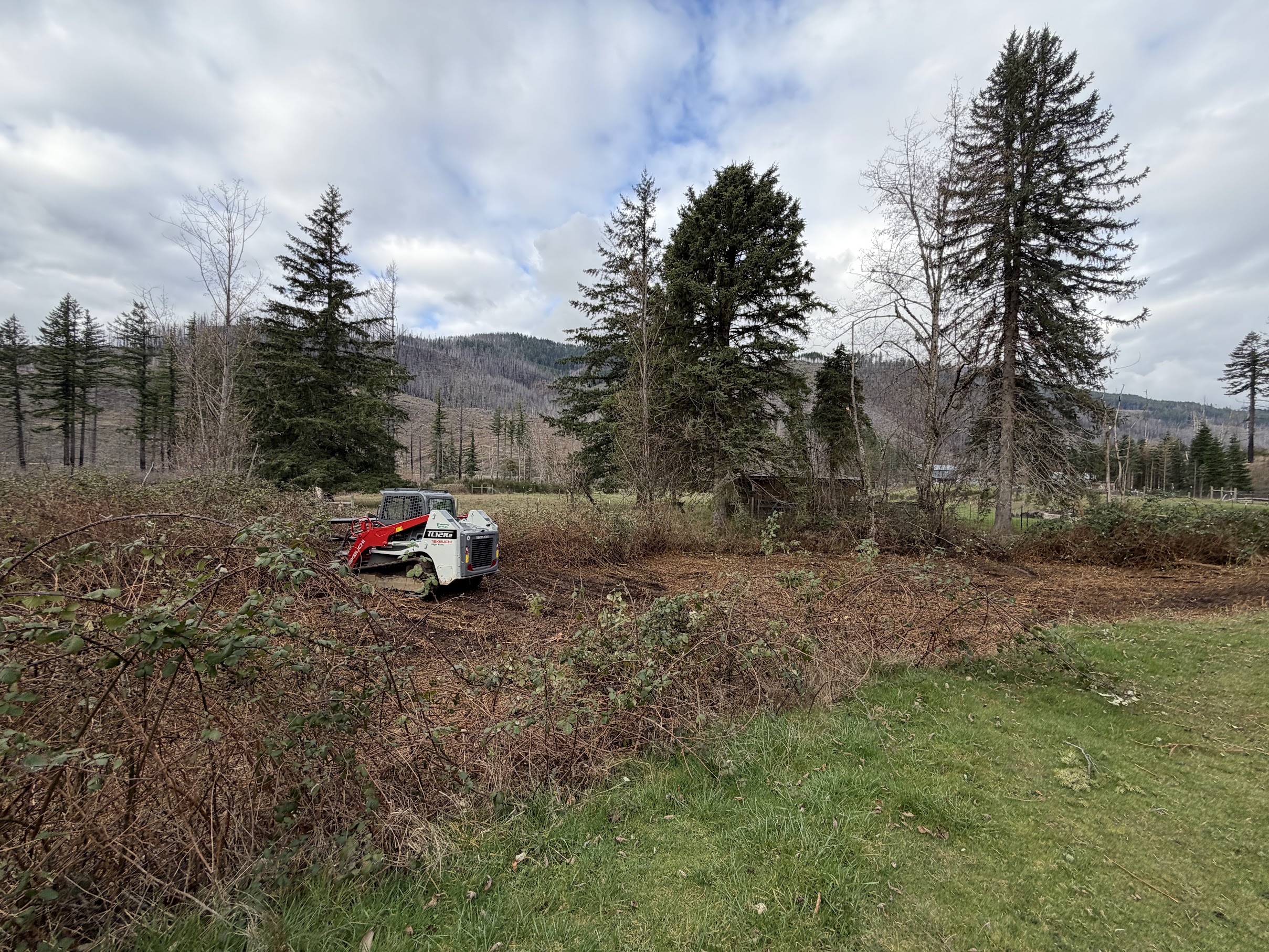 Land clearing Salem OR
