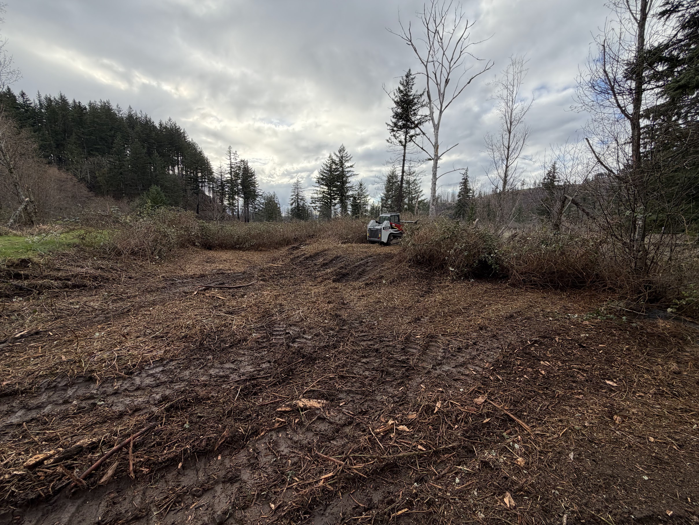 Q&R brush removal site prep Willamette Valley