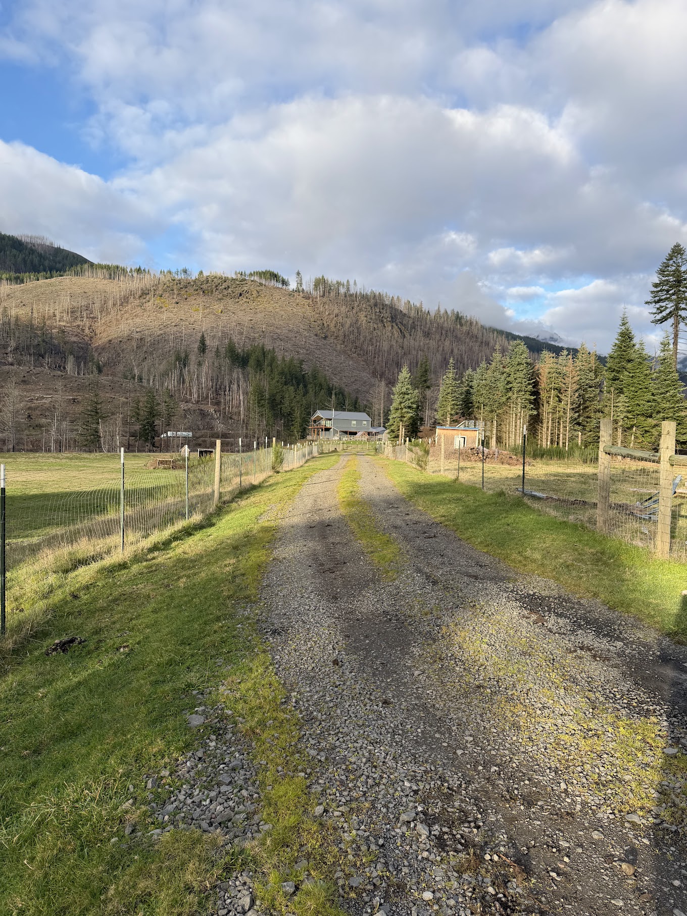 Q&R freshly graded gravel driveway after reconditioning Salem OR