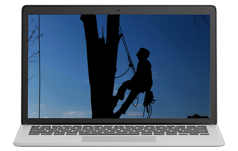 tree care business lead generation