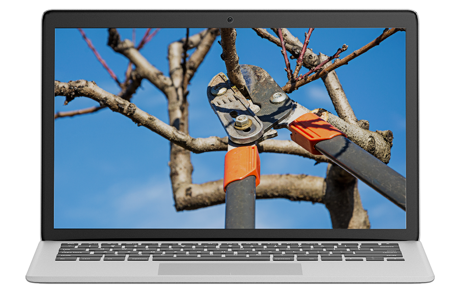 tree care business lead generation