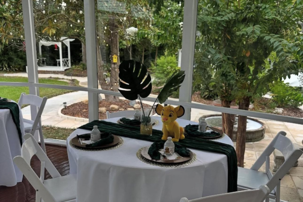 baby shower event in dove manor slidell la