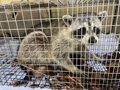  in Dixie County, FL