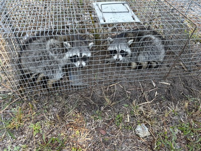 in Taylor & Lafayette Counties, FL