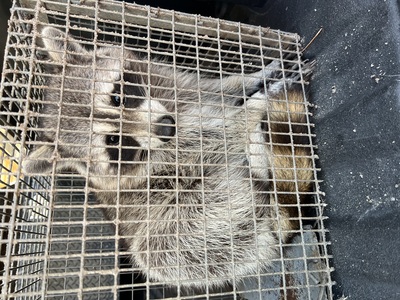  in Taylor & Lafayette Counties, FL