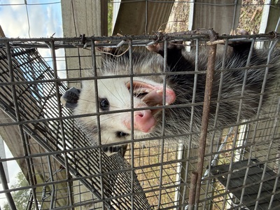  in Dixie County, FL
