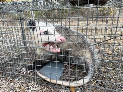  in Taylor & Lafayette Counties, FL