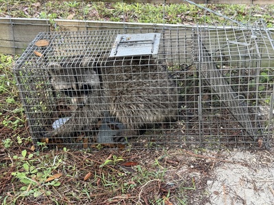  in Taylor & Lafayette Counties, FL