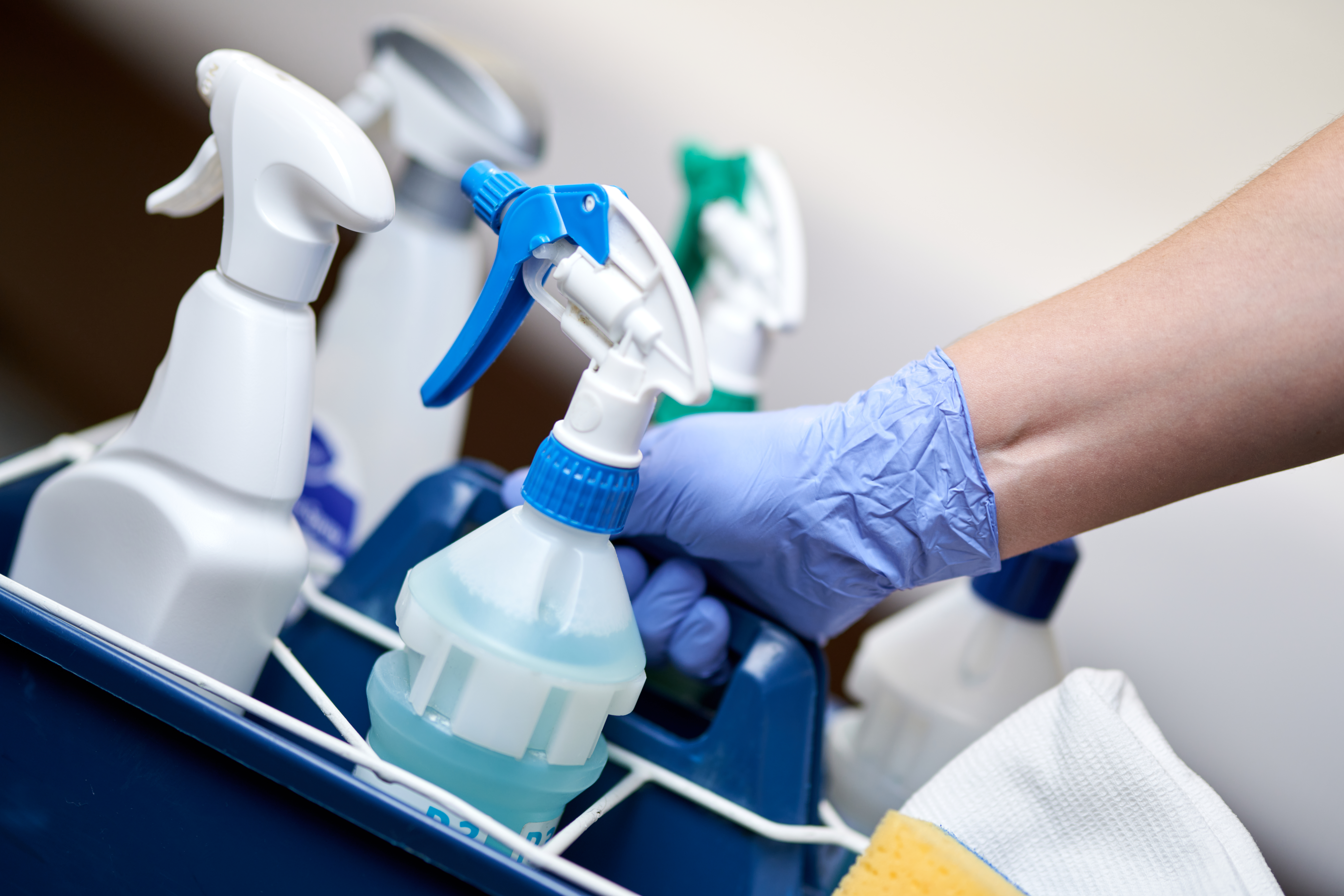 Premium cleaning