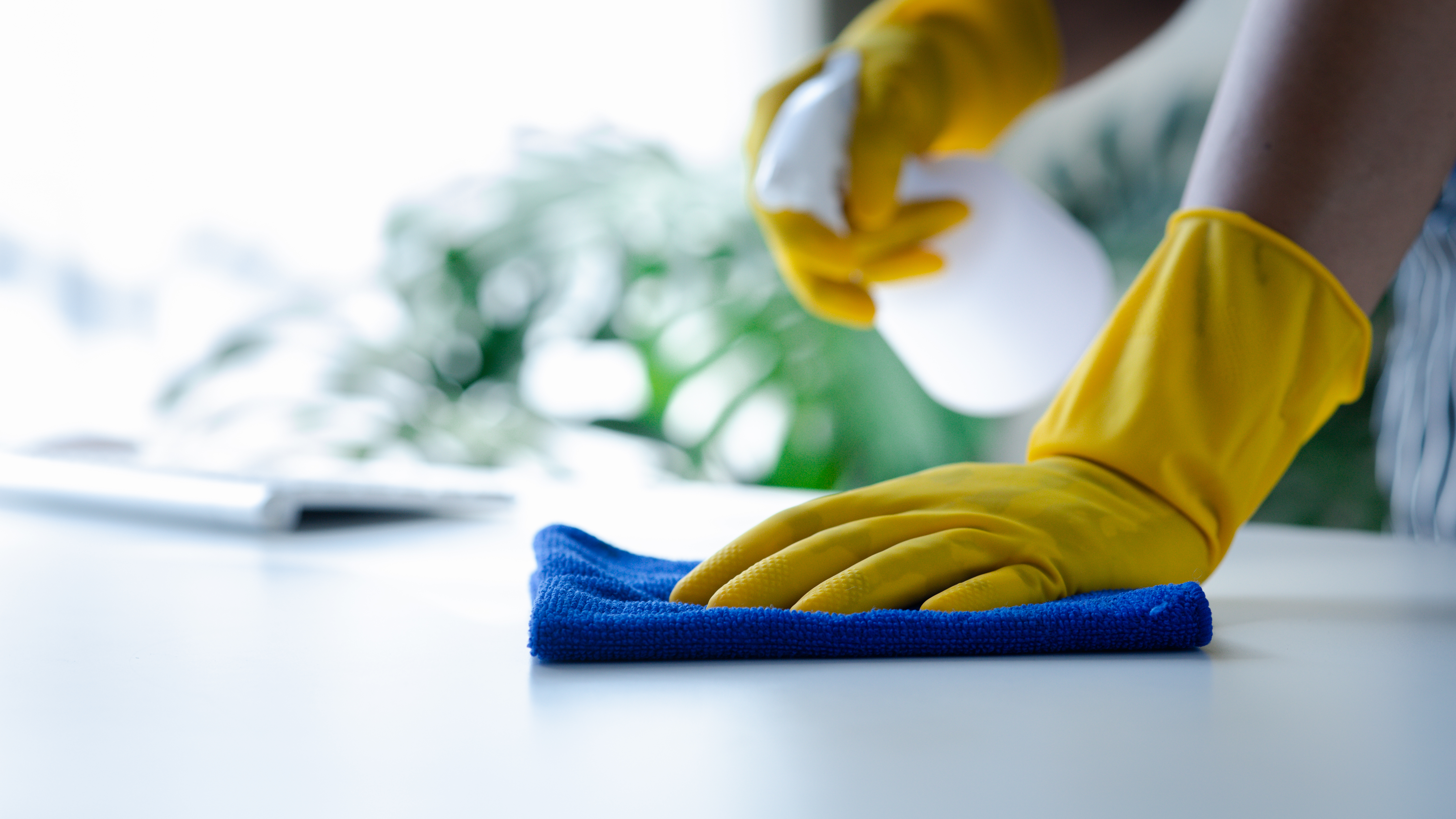 Cleaning services